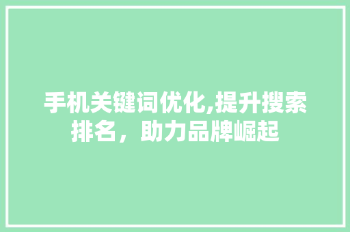 手机关键词优化,提升搜索排名，助力品牌崛起