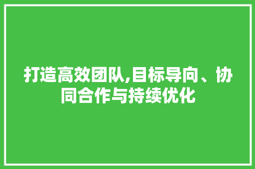 打造高效团队,目标导向、协同合作与持续优化