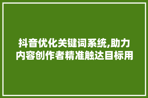 抖音优化关键词系统,助力内容创作者精准触达目标用户