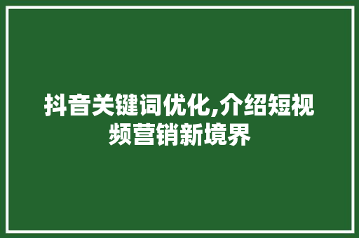 抖音关键词优化,介绍短视频营销新境界