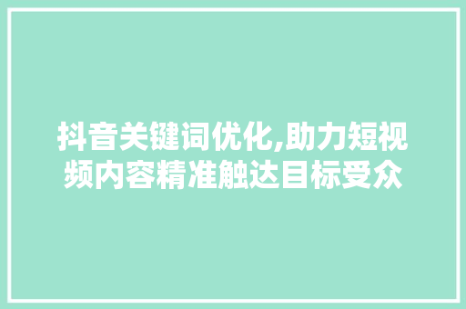 抖音关键词优化,助力短视频内容精准触达目标受众
