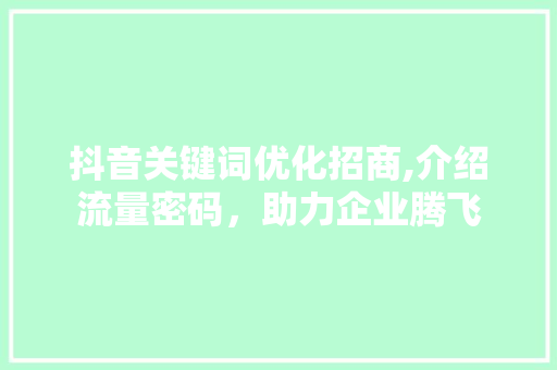 抖音关键词优化招商,介绍流量密码，助力企业腾飞