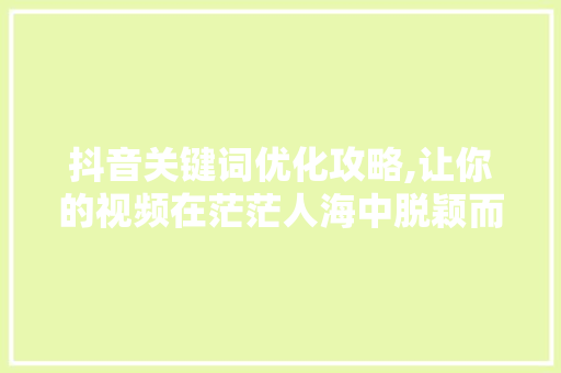 抖音关键词优化攻略,让你的视频在茫茫人海中脱颖而出