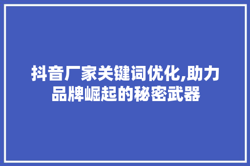 抖音厂家关键词优化,助力品牌崛起的秘密武器
