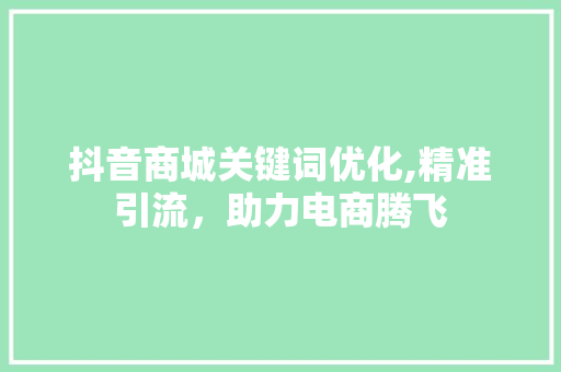 抖音商城关键词优化,精准引流，助力电商腾飞 MySQL
