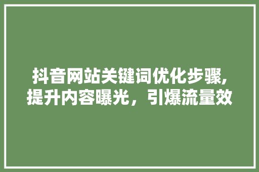抖音网站关键词优化步骤,提升内容曝光，引爆流量效应