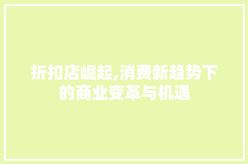折扣店崛起,消费新趋势下的商业变革与机遇