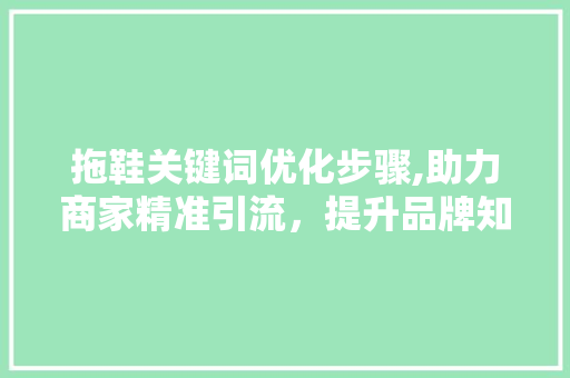 拖鞋关键词优化步骤,助力商家精准引流，提升品牌知名度