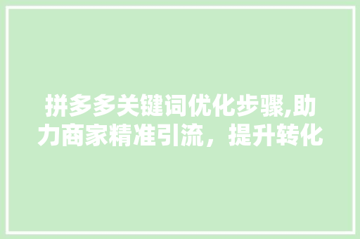 拼多多关键词优化步骤,助力商家精准引流，提升转化率