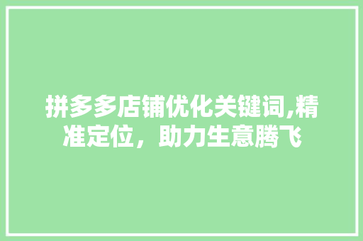 拼多多店铺优化关键词,精准定位，助力生意腾飞
