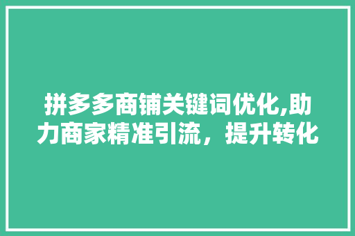拼多多商铺关键词优化,助力商家精准引流，提升转化率