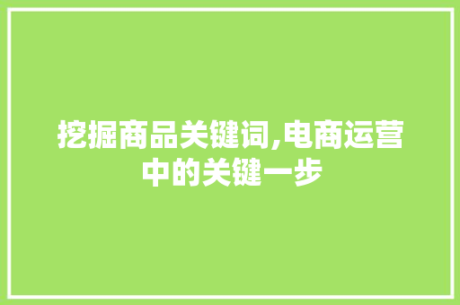 挖掘商品关键词,电商运营中的关键一步