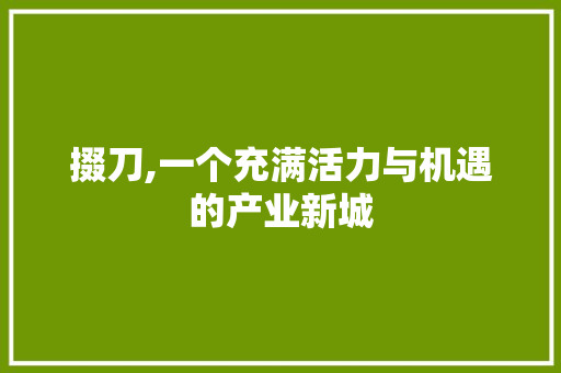 掇刀,一个充满活力与机遇的产业新城
