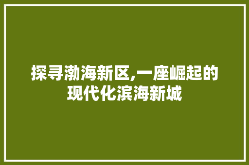 探寻渤海新区,一座崛起的现代化滨海新城