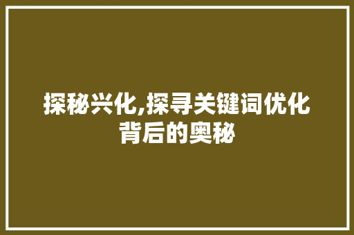 探秘兴化,探寻关键词优化背后的奥秘