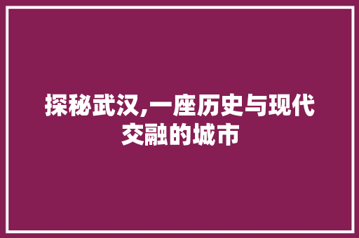 探秘武汉,一座历史与现代交融的城市 MySQL