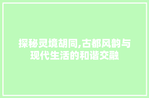探秘灵境胡同,古都风韵与现代生活的和谐交融 MySQL