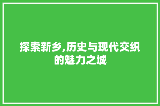 探索新乡,历史与现代交织的魅力之城