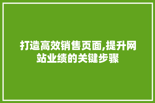 打造高效销售页面,提升网站业绩的关键步骤 项目报告