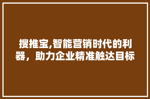 搜推宝,智能营销时代的利器，助力企业精准触达目标客户