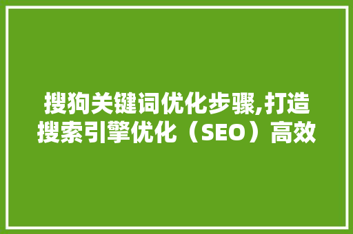 搜狗关键词优化步骤,打造搜索引擎优化（SEO）高效文章