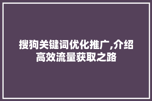 搜狗关键词优化推广,介绍高效流量获取之路