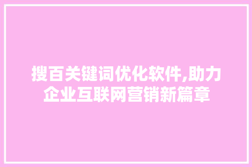 搜百关键词优化软件,助力企业互联网营销新篇章