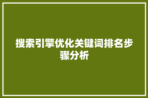 搜索引擎优化关键词排名步骤分析