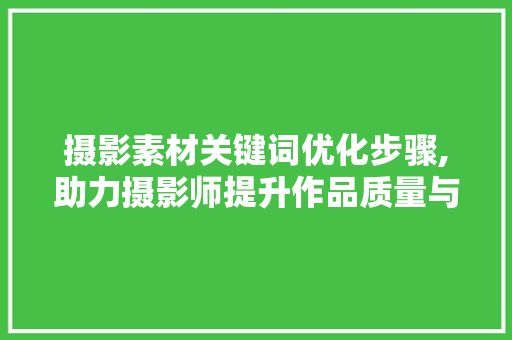 摄影素材关键词优化步骤,助力摄影师提升作品质量与传播力