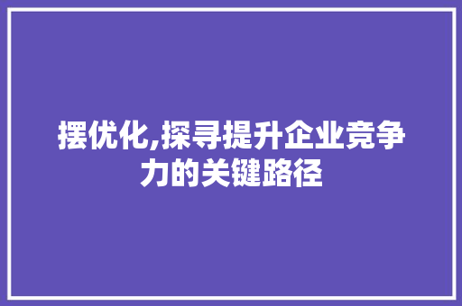摆优化,探寻提升企业竞争力的关键路径