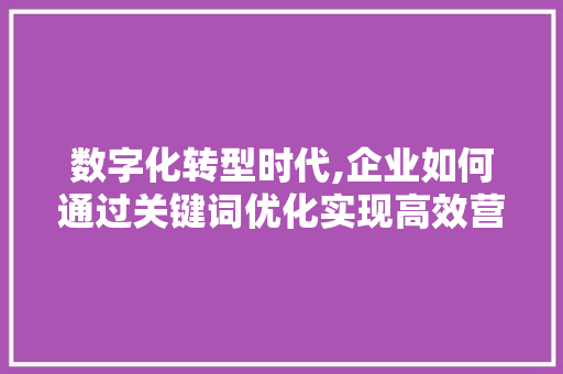 数字化转型时代,企业如何通过关键词优化实现高效营销