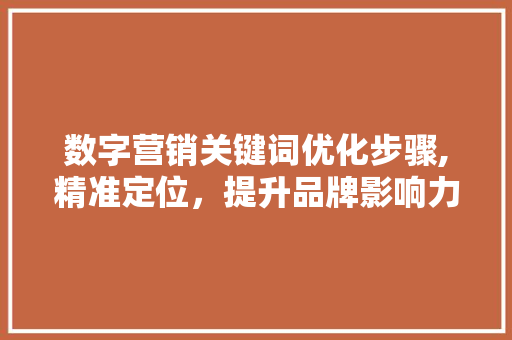数字营销关键词优化步骤,精准定位，提升品牌影响力