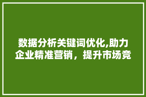 数据分析关键词优化,助力企业精准营销，提升市场竞争力