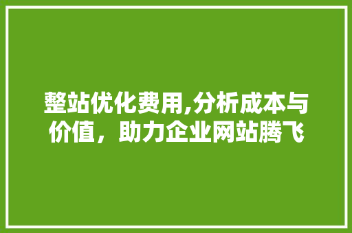 整站优化费用,分析成本与价值，助力企业网站腾飞