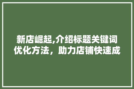 新店崛起,介绍标题关键词优化方法，助力店铺快速成长