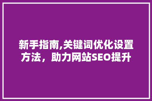 新手指南,关键词优化设置方法，助力网站SEO提升