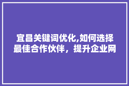 宜昌关键词优化,如何选择最佳合作伙伴，提升企业网络竞争力