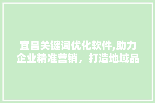 宜昌关键词优化软件,助力企业精准营销，打造地域品牌新高度