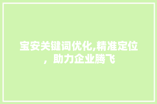 宝安关键词优化,精准定位，助力企业腾飞