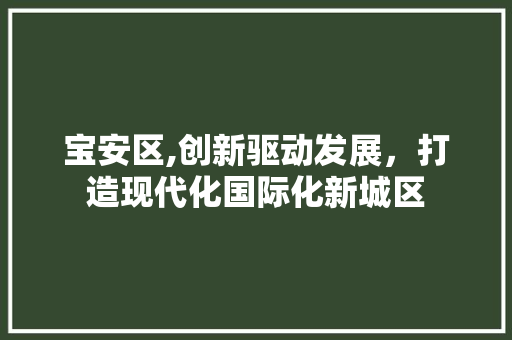 宝安区,创新驱动发展，打造现代化国际化新城区