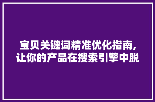 宝贝关键词精准优化指南,让你的产品在搜索引擎中脱颖而出