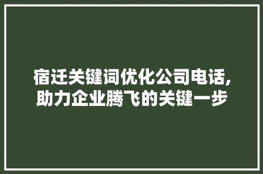 宿迁关键词优化公司电话,助力企业腾飞的关键一步