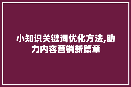 小知识关键词优化方法,助力内容营销新篇章