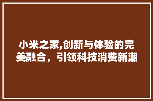 小米之家,创新与体验的完美融合，引领科技消费新潮流