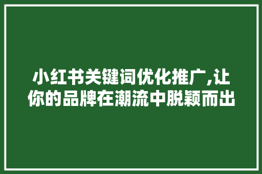 小红书关键词优化推广,让你的品牌在潮流中脱颖而出