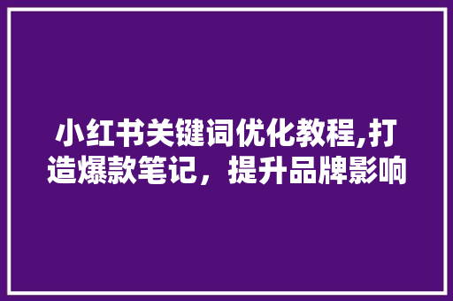 小红书关键词优化教程,打造爆款笔记，提升品牌影响力