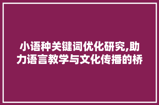 小语种关键词优化研究,助力语言教学与文化传播的桥梁