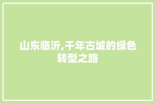 山东临沂,千年古城的绿色转型之路