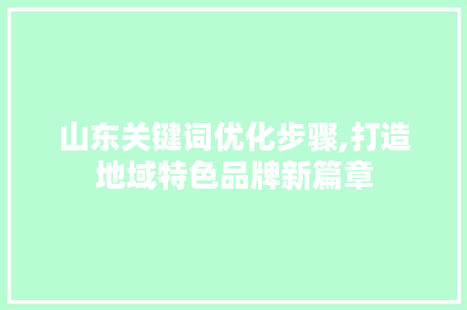 山东关键词优化步骤,打造地域特色品牌新篇章