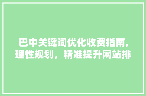 巴中关键词优化收费指南,理性规划，精准提升网站排名
